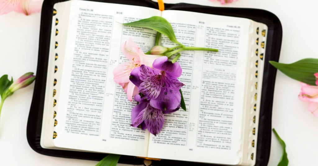 “Because I said&nbsp;so.”